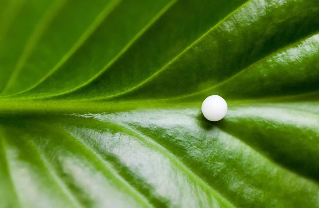 Homoeopathy